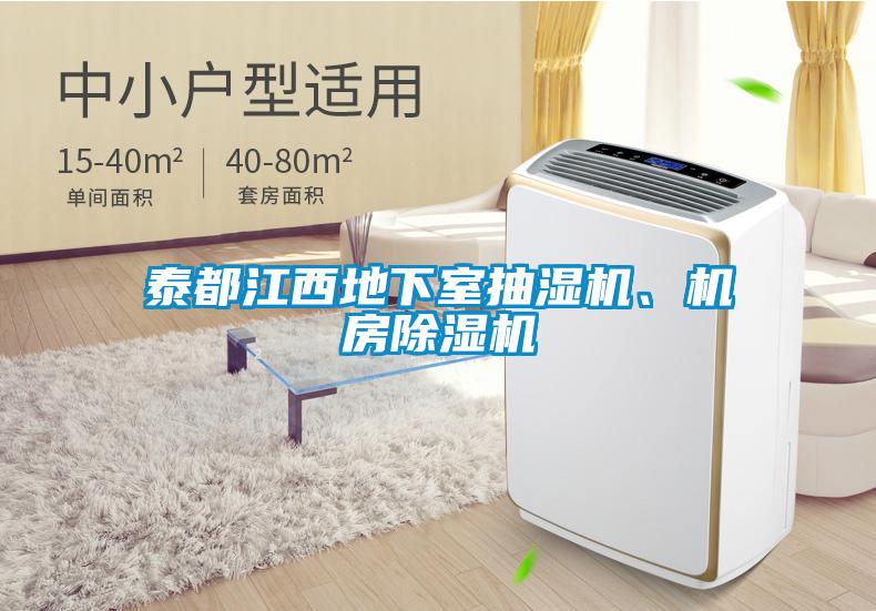 泰都江西地下室抽濕機(jī)、機(jī)房除濕機(jī)