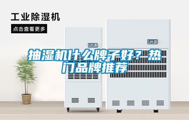 抽濕機什么牌子好？熱門品牌推薦