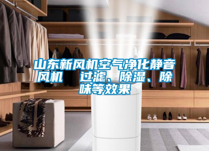 山東新風(fēng)機(jī)空氣凈化靜音風(fēng)機(jī)  過濾、除濕、除味等效果