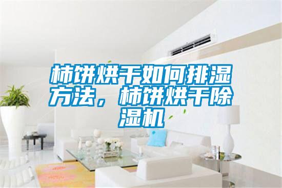 柿餅烘干如何排濕方法，柿餅烘干除濕機