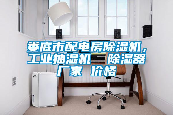 婁底市配電房除濕機(jī)，工業(yè)抽濕機(jī)  除濕器廠家 價(jià)格