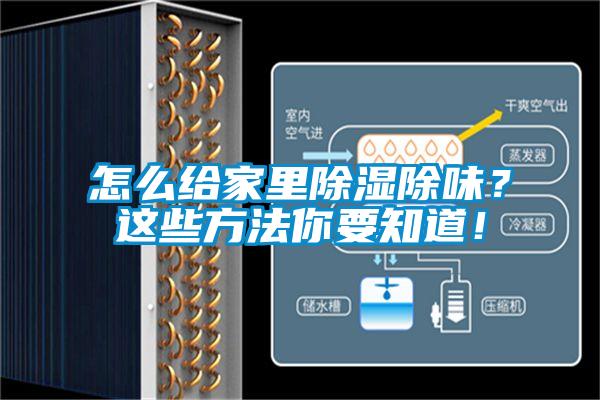 怎么給家里除濕除味？這些方法你要知道！