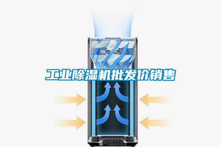 工業(yè)除濕機(jī)批發(fā)價銷售