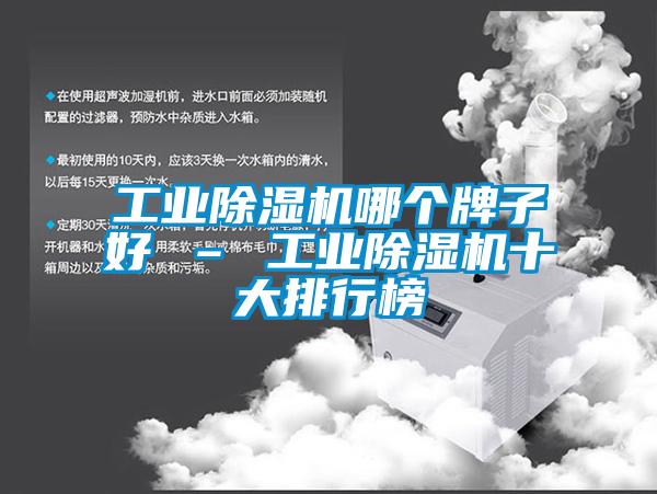 工業(yè)除濕機哪個牌子好 – 工業(yè)除濕機十大排行榜