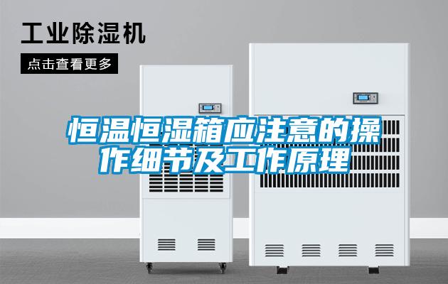 恒溫恒濕箱應注意的操作細節(jié)及工作原理