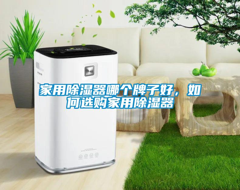 家用除濕器哪個(gè)牌子好，如何選購家用除濕器