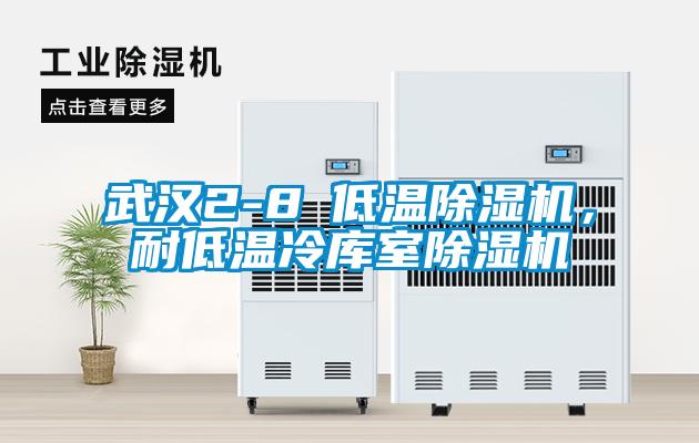 武漢2-8℃低溫除濕機，耐低溫冷庫室除濕機