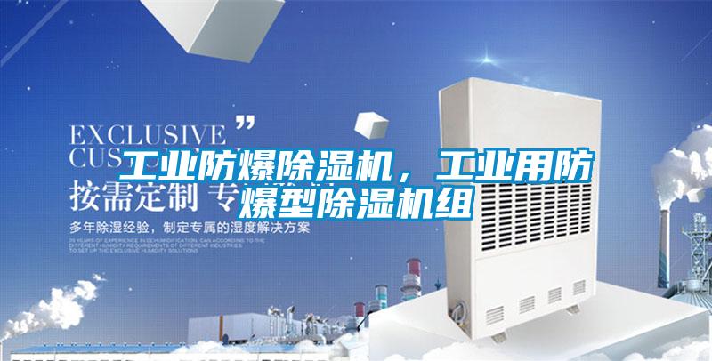 工業(yè)防爆除濕機，工業(yè)用防爆型除濕機組