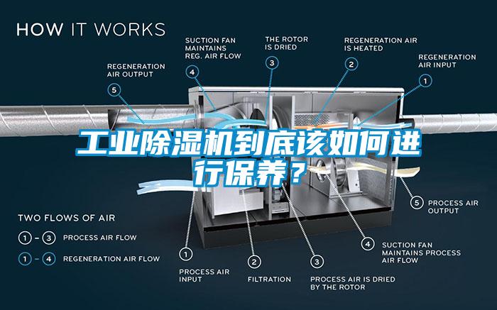 工業(yè)除濕機(jī)到底該如何進(jìn)行保養(yǎng)？
