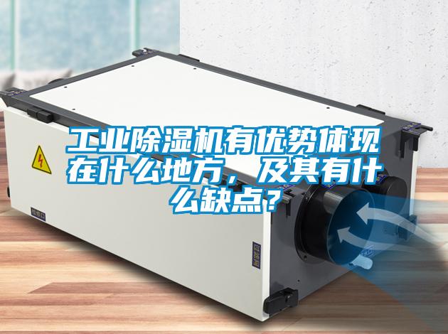 工業(yè)除濕機有優(yōu)勢體現(xiàn)在什么地方，及其有什么缺點？
