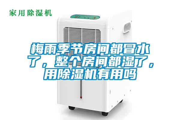 梅雨季節(jié)房間都冒水了，整個房間都濕了，用除濕機(jī)有用嗎