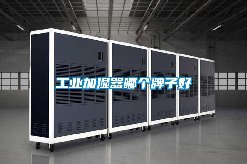 工業(yè)加濕器哪個牌子好