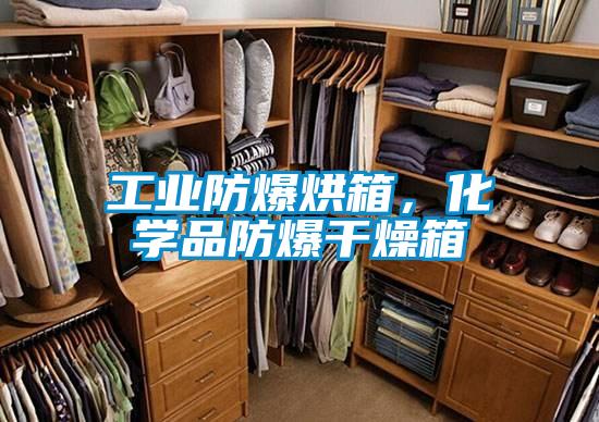 工業(yè)防爆烘箱，化學(xué)品防爆干燥箱