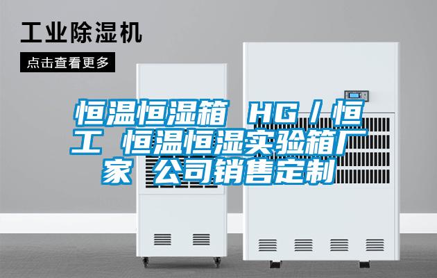 恒溫恒濕箱 HG／恒工 恒溫恒濕實(shí)驗箱廠家 公司銷售定制