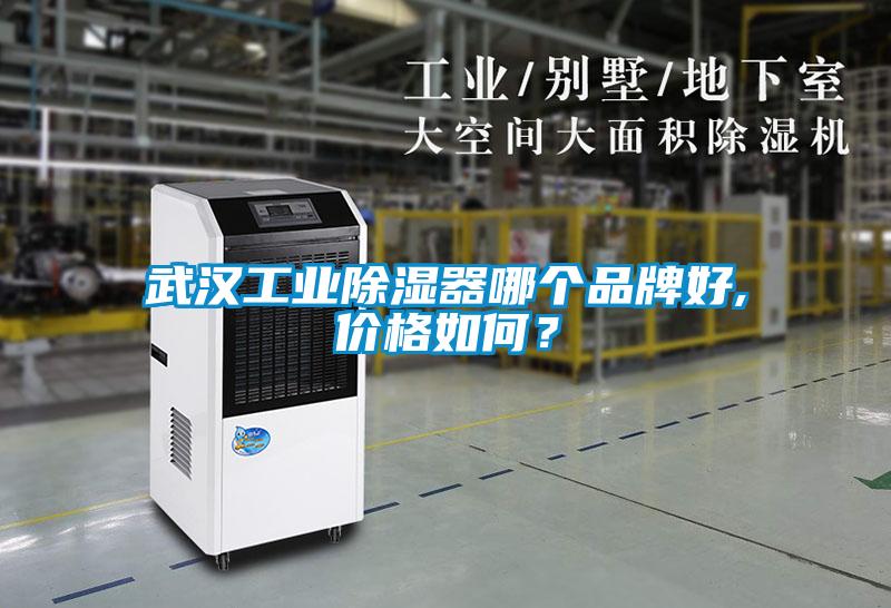 武漢工業(yè)除濕器哪個品牌好,價格如何？
