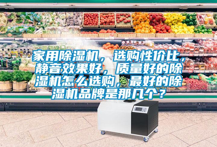 家用除濕機(jī)，選購(gòu)性?xún)r(jià)比，靜音效果好，質(zhì)量好的除濕機(jī)怎么選購(gòu)，最好的除濕機(jī)品牌是那幾個(gè)？