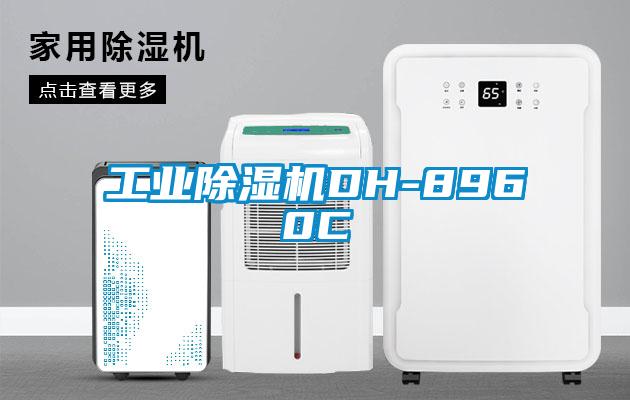 工業(yè)除濕機DH-8960C
