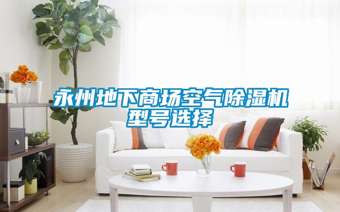永州地下商場空氣除濕機(jī)型號(hào)選擇