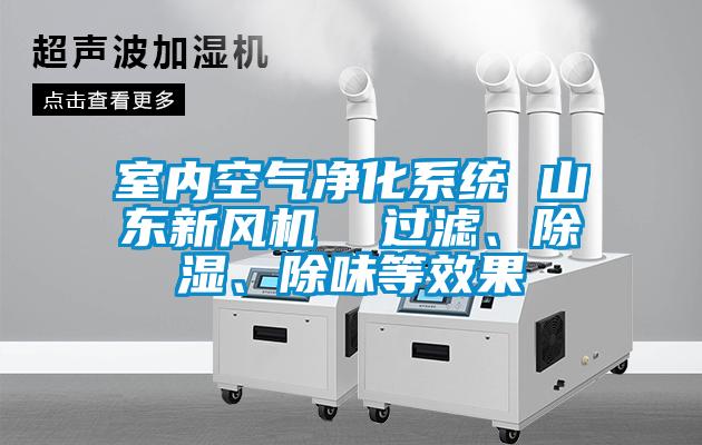 室內(nèi)空氣凈化系統(tǒng) 山東新風機  過濾、除濕、除味等效果