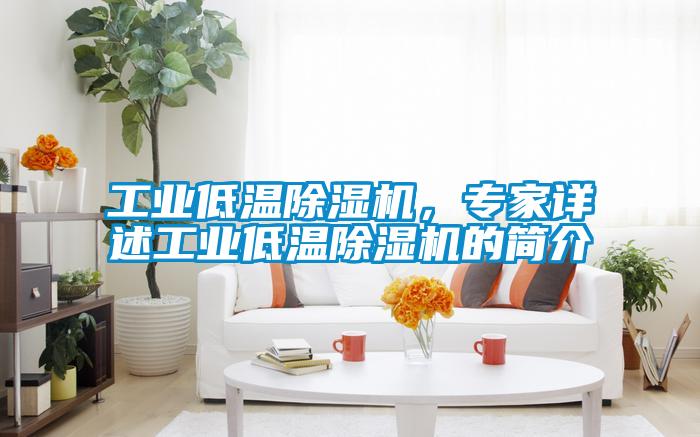 工業(yè)低溫除濕機(jī)，專家詳述工業(yè)低溫除濕機(jī)的簡介