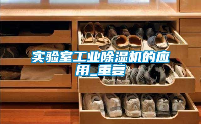 實驗室工業(yè)除濕機的應用_重復