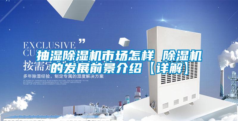 抽濕除濕機(jī)市場(chǎng)怎樣 除濕機(jī)的發(fā)展前景介紹【詳解】