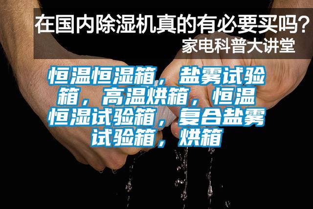 恒溫恒濕箱，鹽霧試驗(yàn)箱，高溫烘箱，恒溫恒濕試驗(yàn)箱，復(fù)合鹽霧試驗(yàn)箱，烘箱
