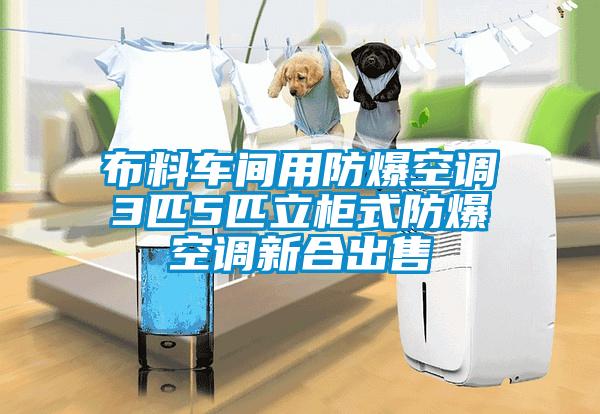 布料車(chē)間用防爆空調(diào)3匹5匹立柜式防爆空調(diào)新合出售