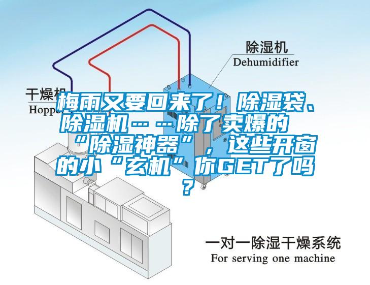 梅雨又要回來了！除濕袋、除濕機……除了賣爆的“除濕神器”，這些開窗的小“玄機”你GET了嗎？
