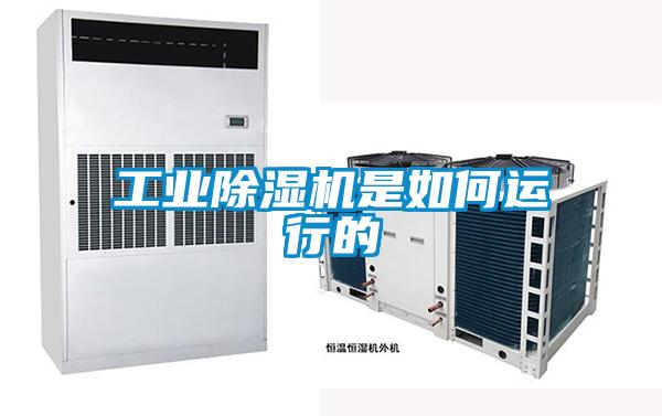 工業(yè)除濕機是如何運行的