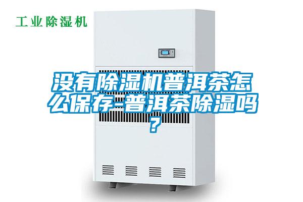 沒有除濕機普洱茶怎么保存-普洱茶除濕嗎？
