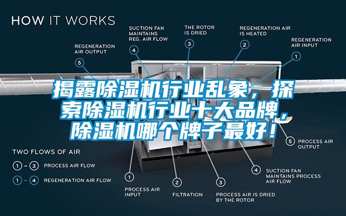 揭露除濕機行業(yè)亂象，探索除濕機行業(yè)十大品牌，除濕機哪個牌子最好！