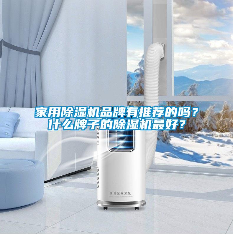 家用除濕機品牌有推薦的嗎？什么牌子的除濕機最好？