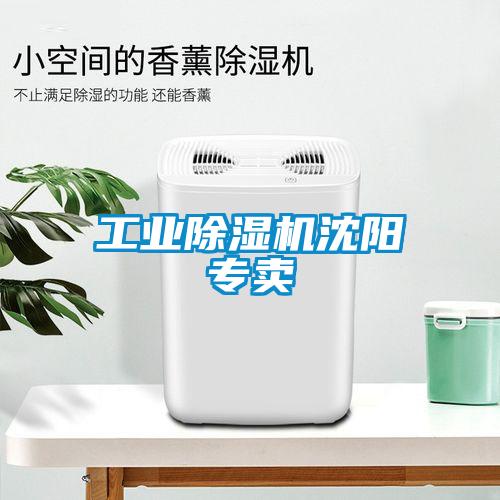 工業(yè)除濕機(jī)沈陽(yáng)專(zhuān)賣(mài)