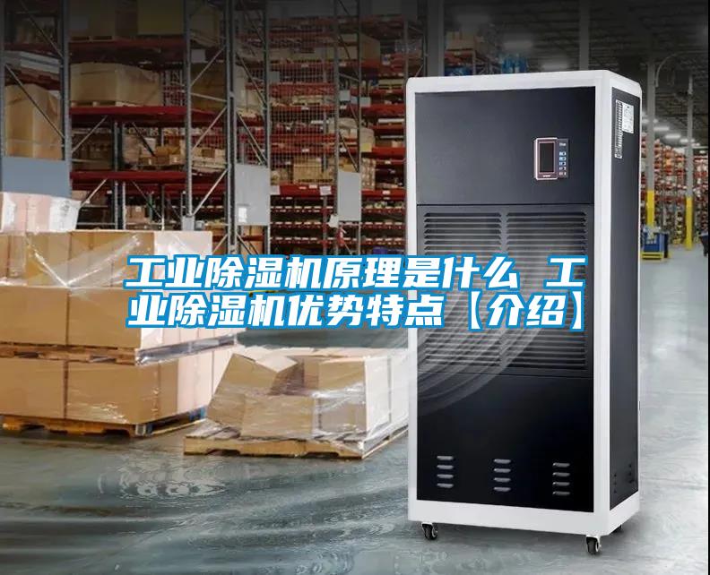工業(yè)除濕機(jī)原理是什么 工業(yè)除濕機(jī)優(yōu)勢(shì)特點(diǎn)【介紹】
