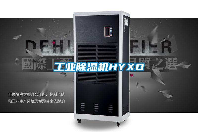 工業(yè)除濕機HYXD