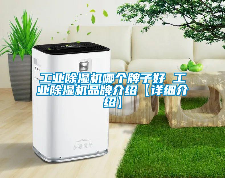 工業(yè)除濕機哪個牌子好 工業(yè)除濕機品牌介紹【詳細介紹】