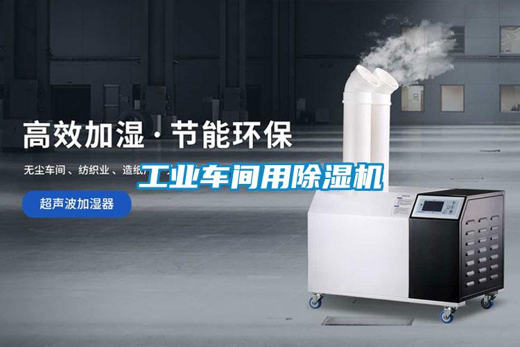 工業(yè)車(chē)間用除濕機(jī)