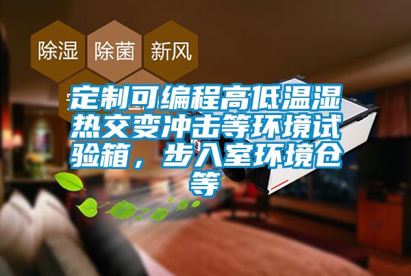 定制可編程高低溫濕熱交變沖擊等環(huán)境試驗箱，步入室環(huán)境倉等