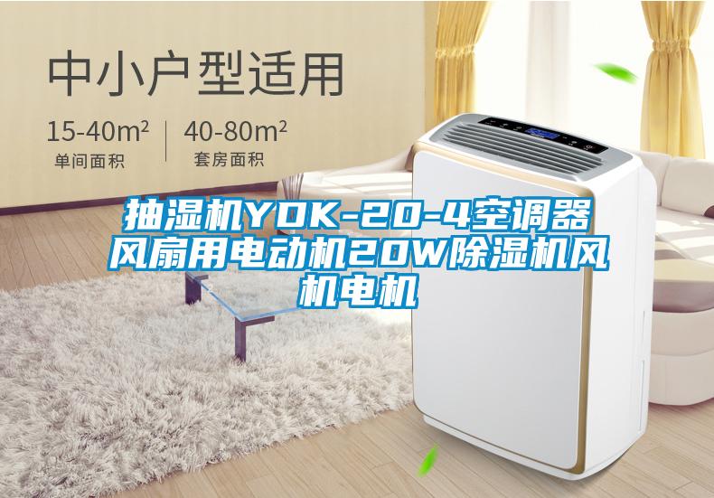 抽濕機YDK-20-4空調(diào)器風(fēng)扇用電動機20W除濕機風(fēng)機電機