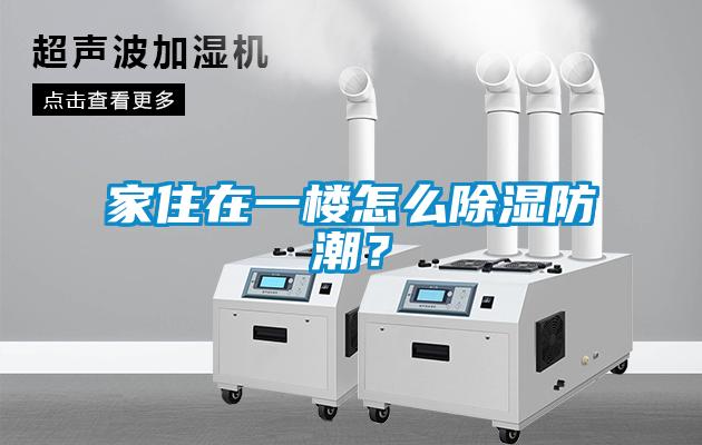 家住在一樓怎么除濕防潮？