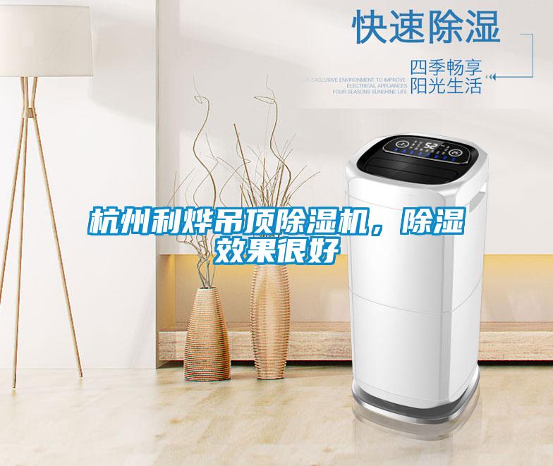 杭州利燁吊頂除濕機，除濕效果很好