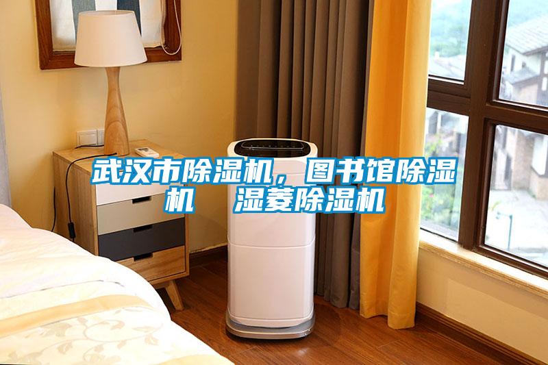 武漢市除濕機，圖書館除濕機  濕菱除濕機