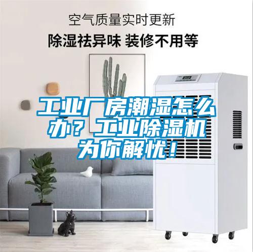 工業(yè)廠房潮濕怎么辦？工業(yè)除濕機(jī)為你解憂！