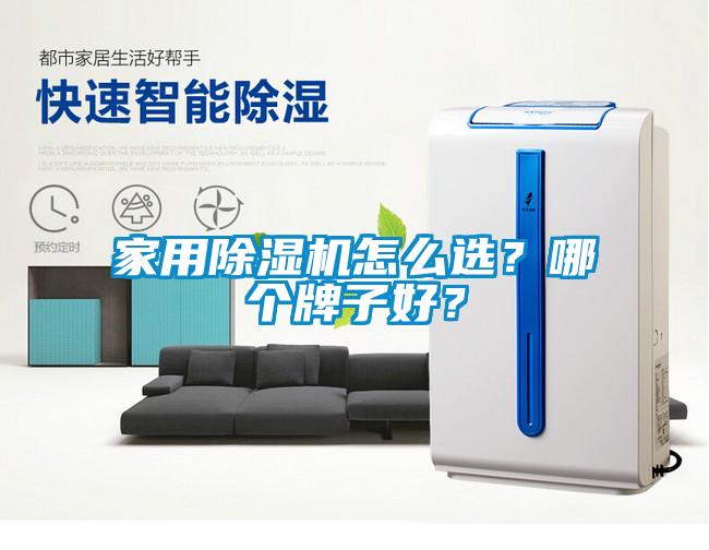 家用除濕機(jī)怎么選？哪個牌子好？