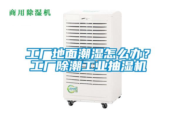 工廠地面潮濕怎么辦？工廠除潮工業(yè)抽濕機(jī)
