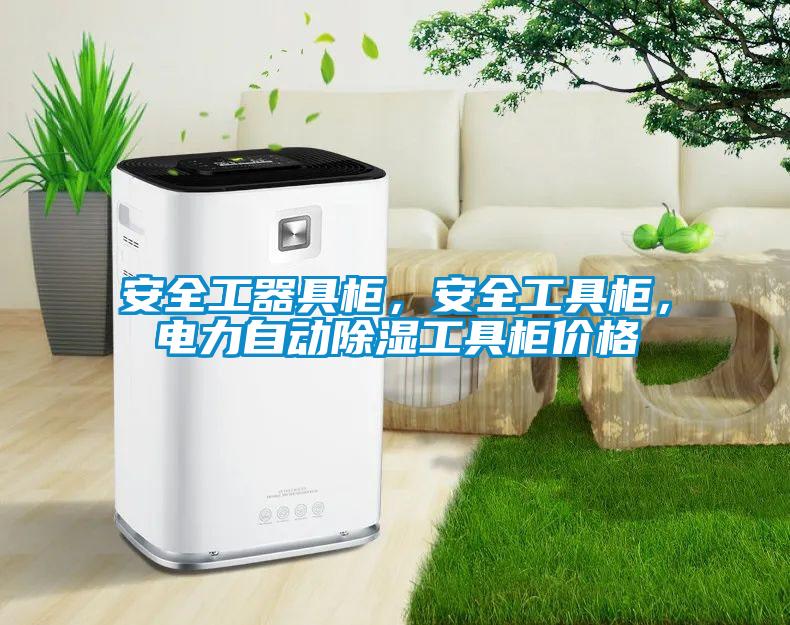 安全工器具柜，安全工具柜，電力自動除濕工具柜價格