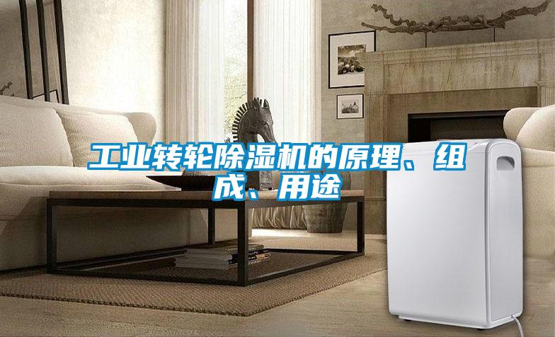 工業(yè)轉(zhuǎn)輪除濕機(jī)的原理、組成、用途