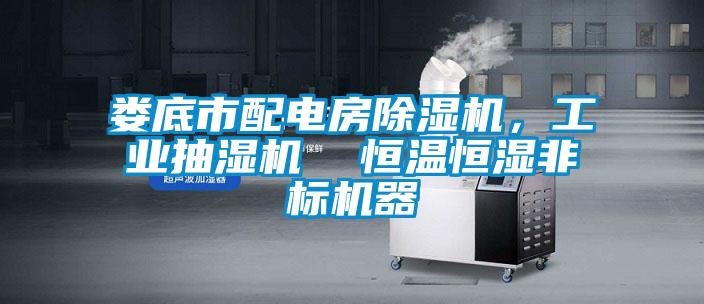 婁底市配電房除濕機(jī)，工業(yè)抽濕機(jī)  恒溫恒濕非標(biāo)機(jī)器