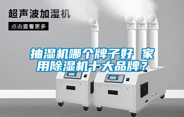 抽濕機(jī)哪個(gè)牌子好 家用除濕機(jī)十大品牌？